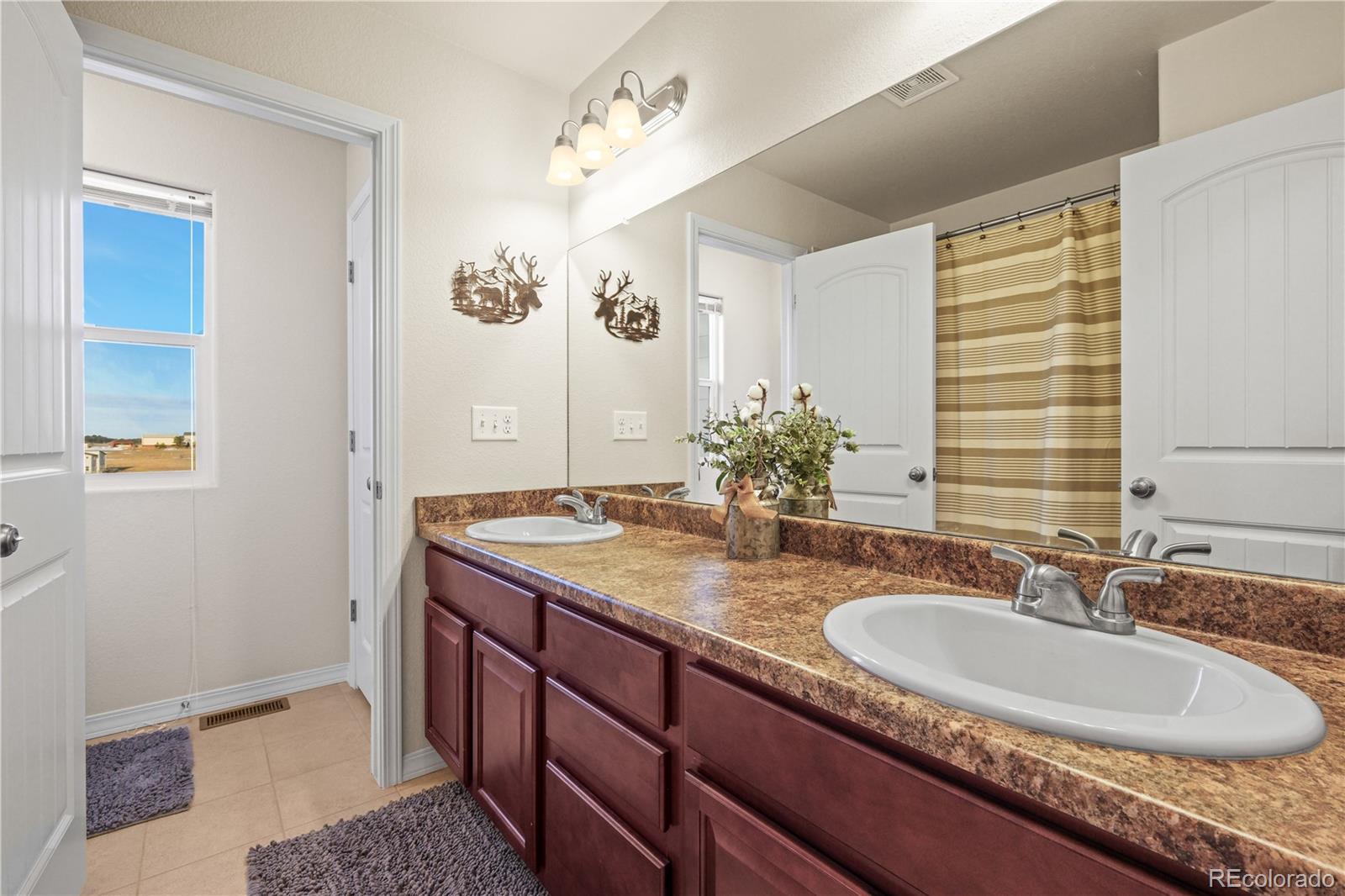 MLS Image #12 for 13590  woodlake road,elbert, Colorado