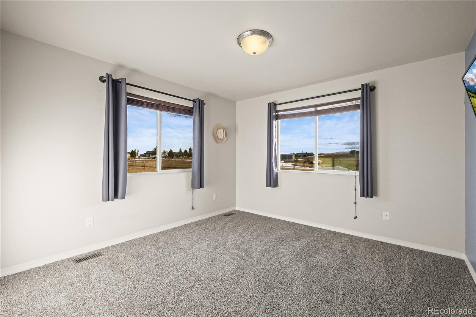 MLS Image #14 for 13590  woodlake road,elbert, Colorado