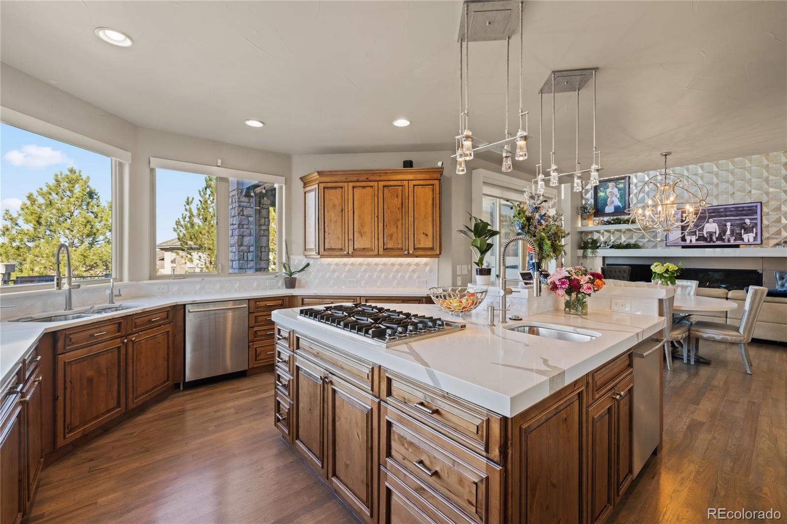 MLS Image #18 for 8751  crooked stick place,lone tree, Colorado