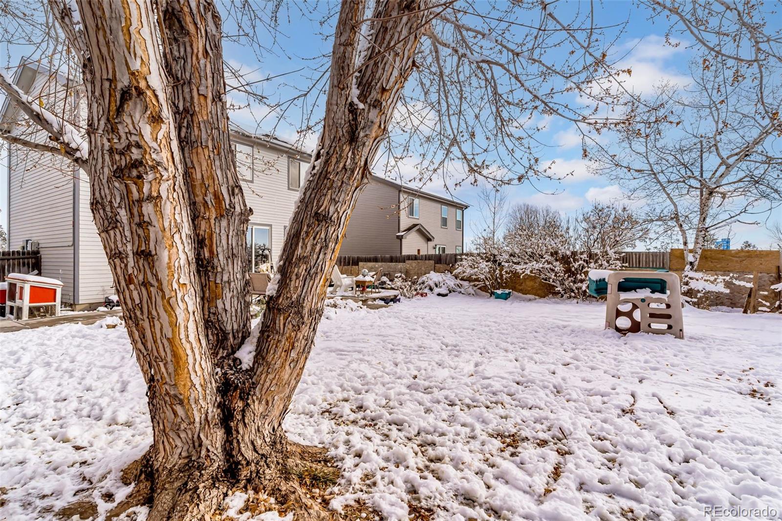 MLS Image #22 for 4027  celtic lane,fort collins, Colorado