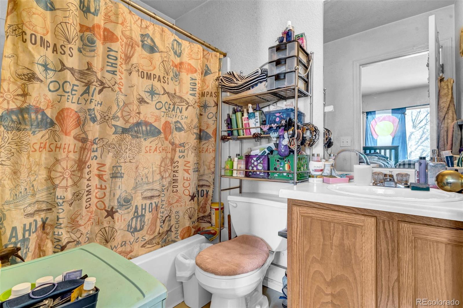 MLS Image #8 for 4027  celtic lane,fort collins, Colorado