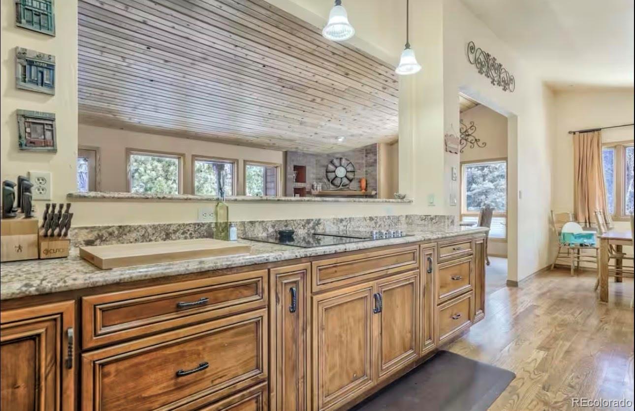 MLS Image #10 for 310  tam o shanter way,monument, Colorado