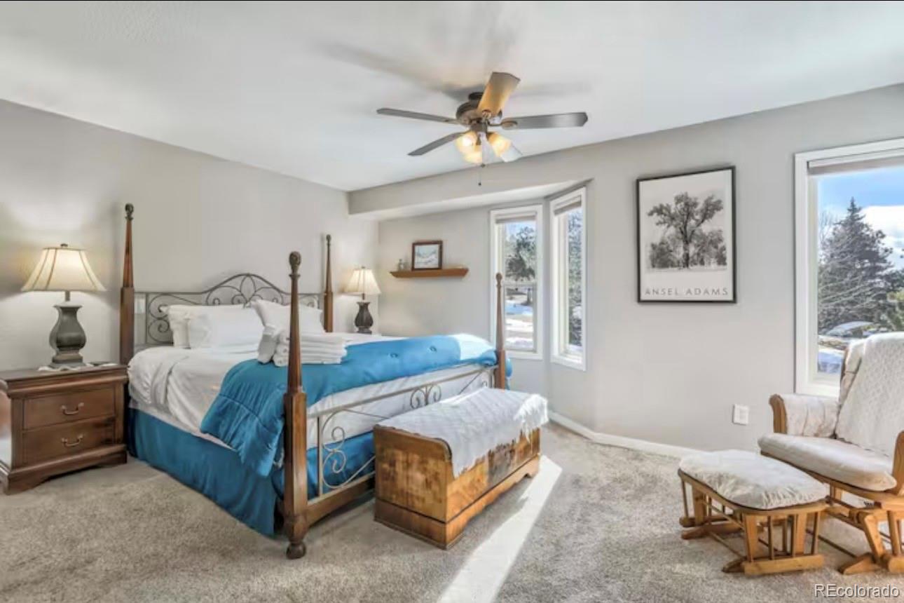 MLS Image #14 for 310  tam o shanter way,monument, Colorado