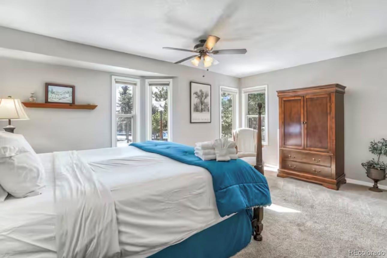 MLS Image #15 for 310  tam o shanter way,monument, Colorado