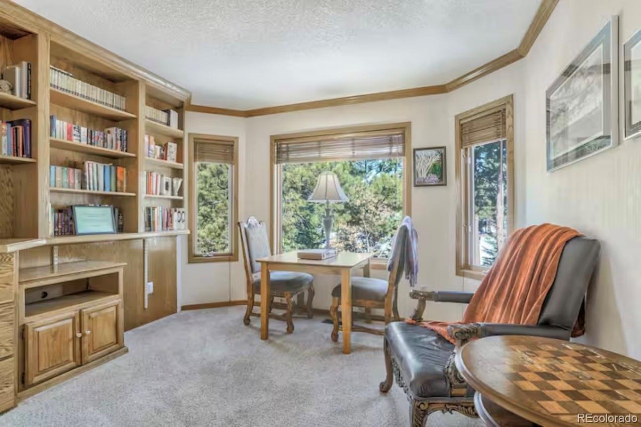 MLS Image #22 for 310  tam o shanter way,monument, Colorado