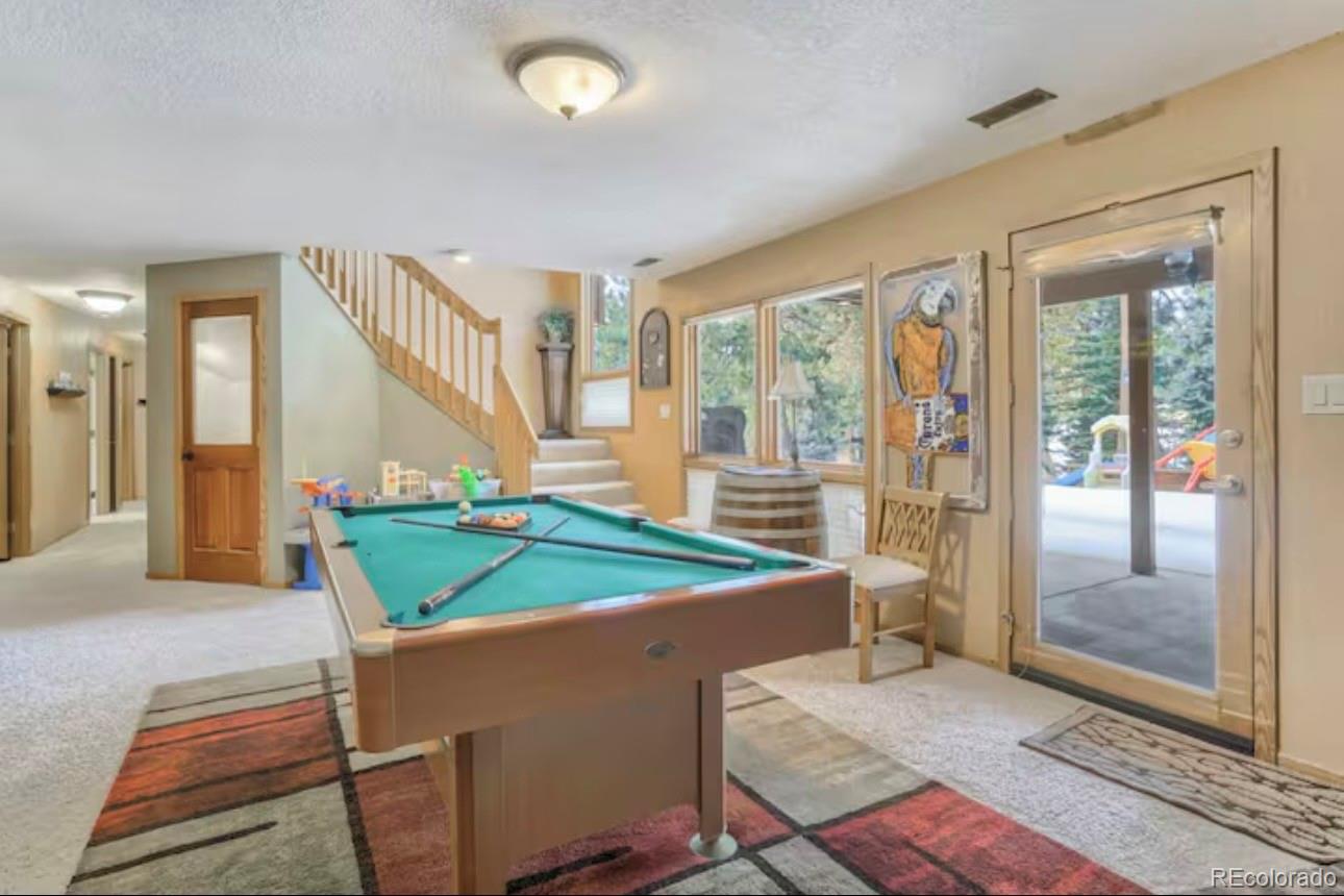MLS Image #26 for 310  tam o shanter way,monument, Colorado