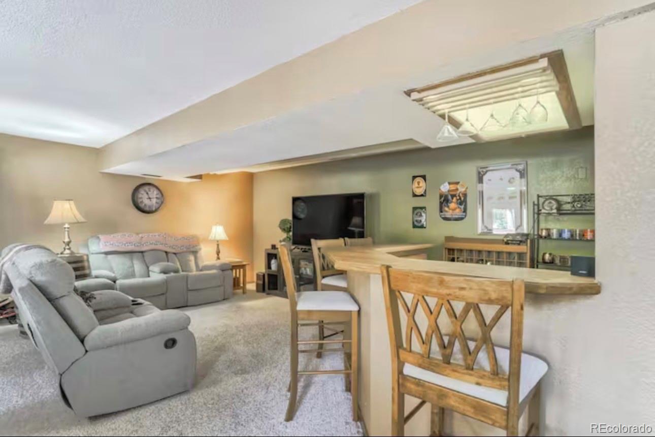 MLS Image #27 for 310  tam o shanter way,monument, Colorado