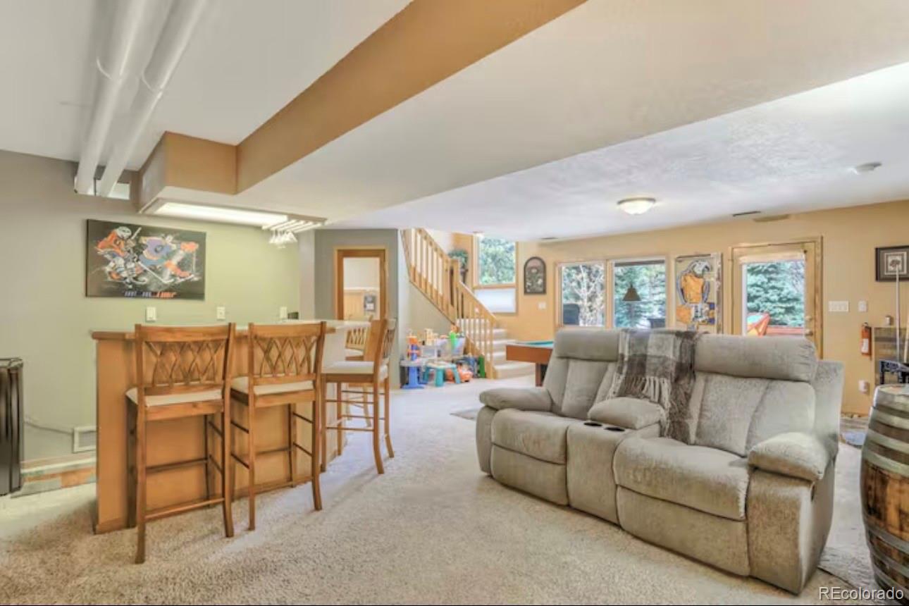 MLS Image #28 for 310  tam o shanter way,monument, Colorado