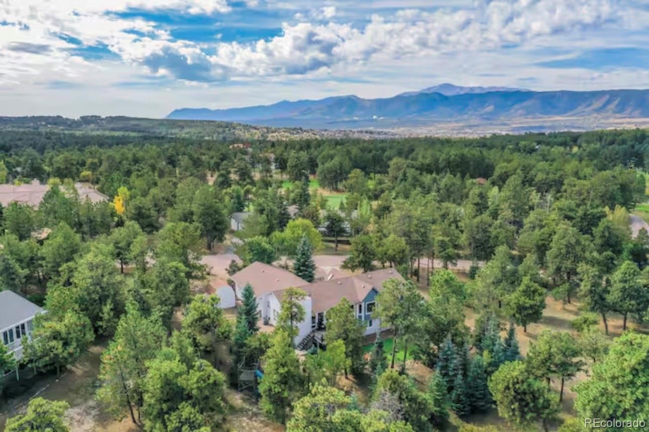 MLS Image #45 for 310  tam o shanter way,monument, Colorado