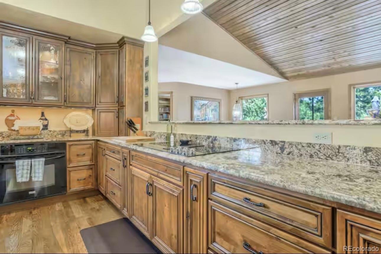 MLS Image #9 for 310  tam o shanter way,monument, Colorado