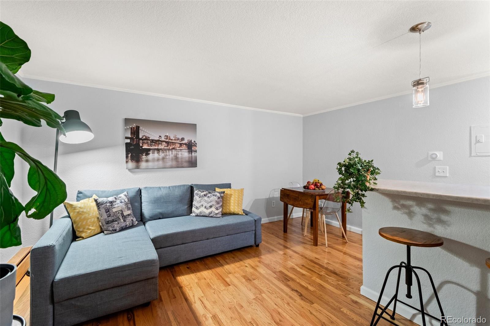MLS Image #6 for 336 n grant street 202,denver, Colorado