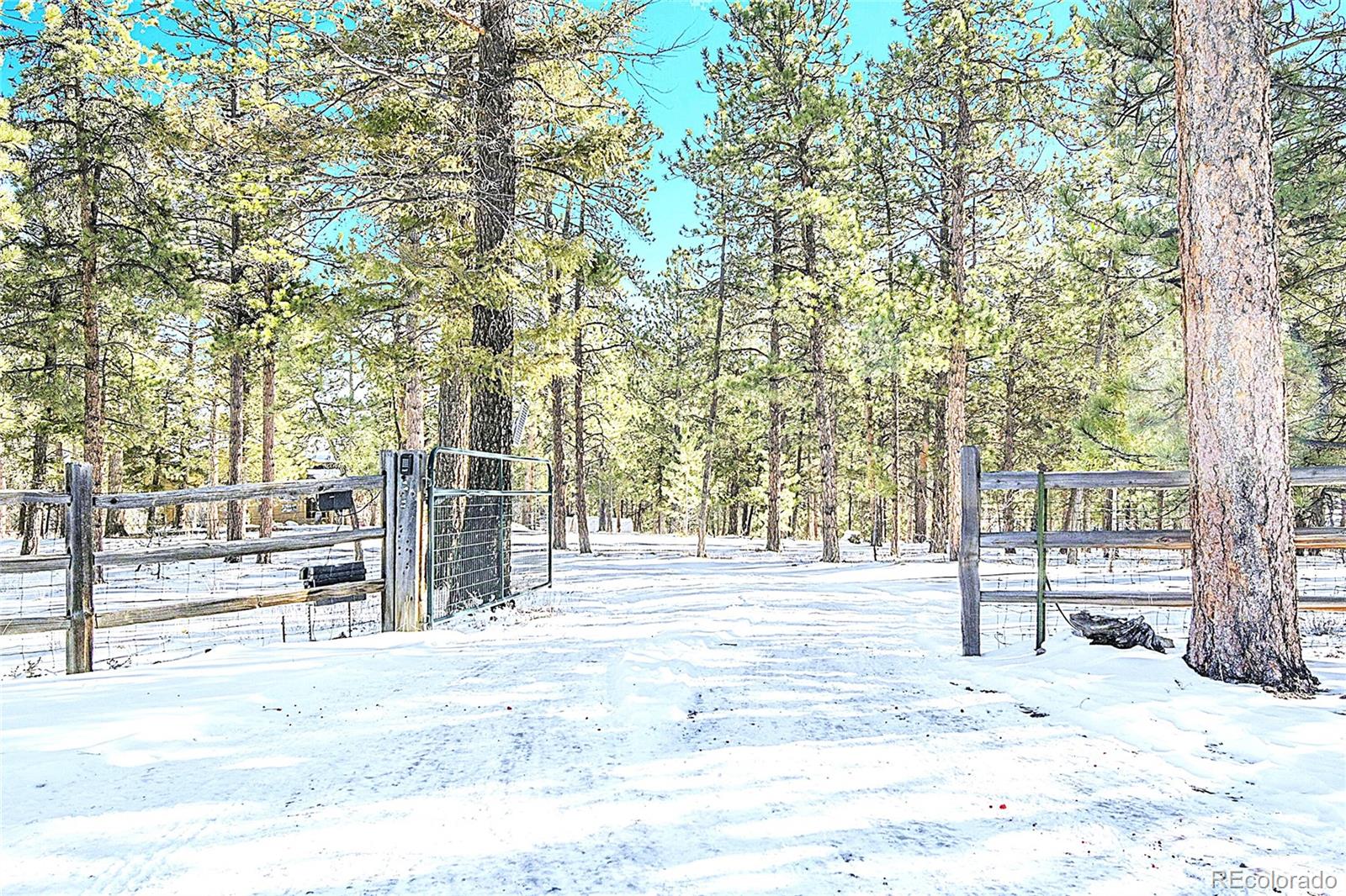 MLS Image #1 for 270  dawson road,pine, Colorado