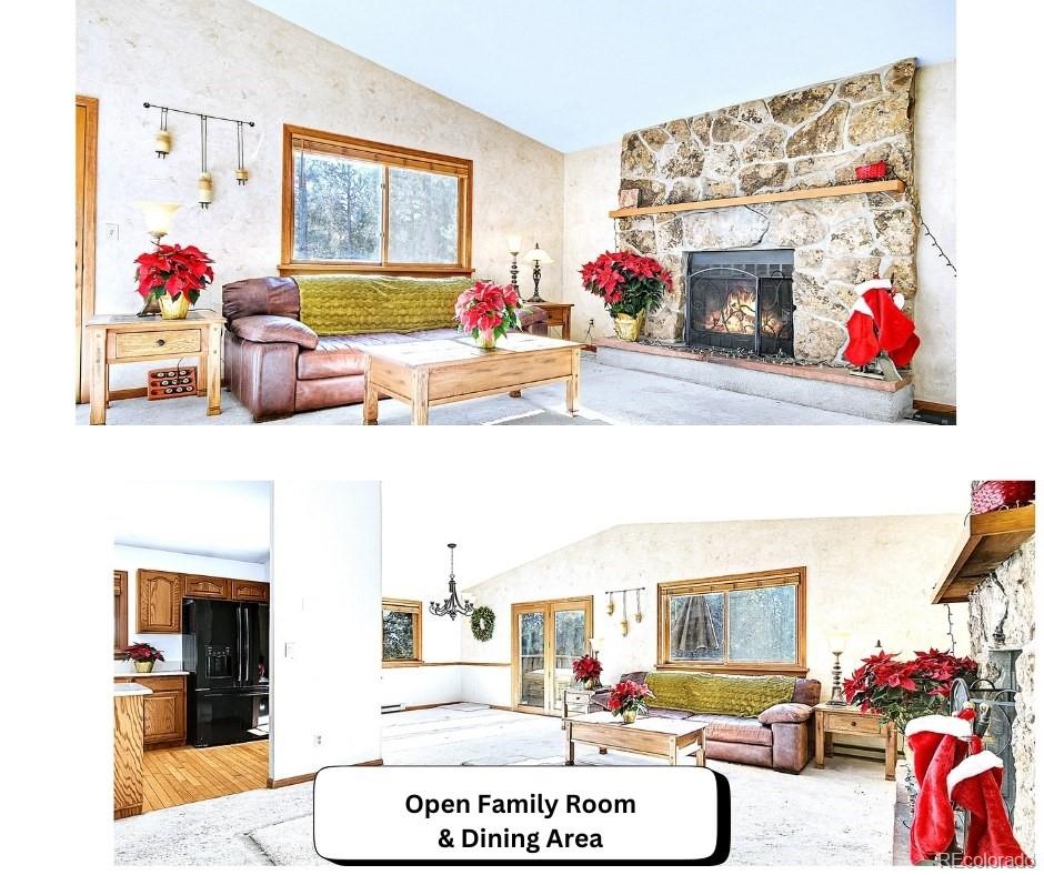 MLS Image #16 for 270  dawson road,pine, Colorado