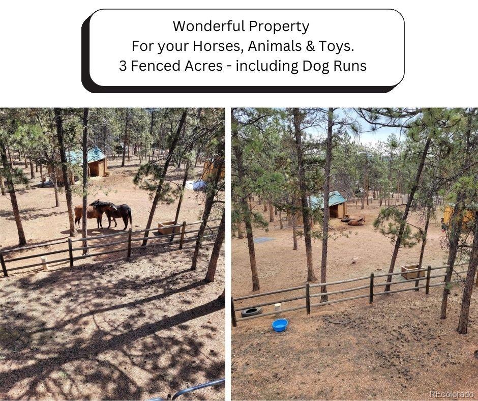 MLS Image #5 for 270  dawson road,pine, Colorado