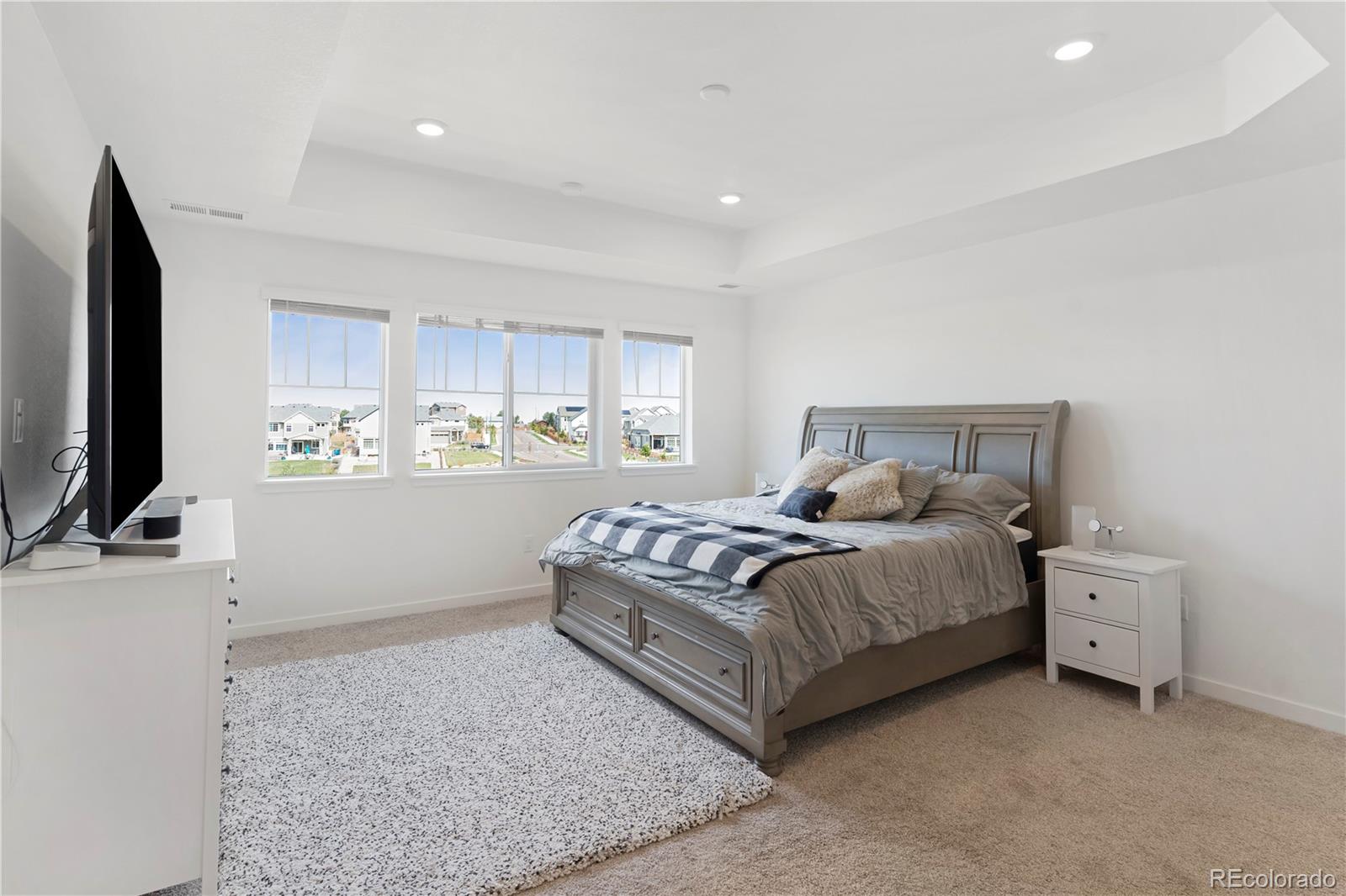 MLS Image #20 for 16375 e 110th avenue,commerce city, Colorado