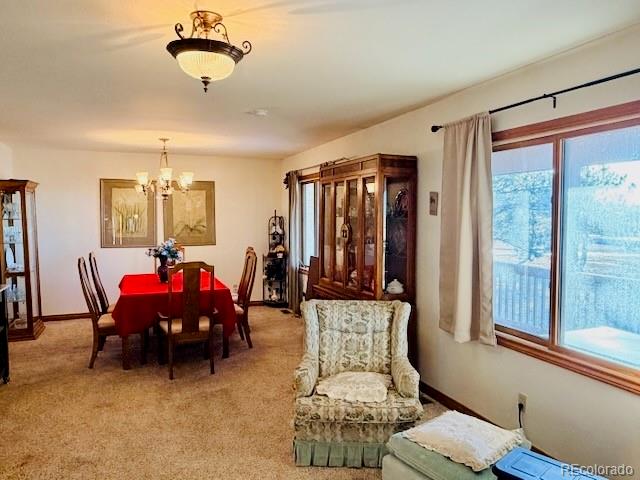 MLS Image #23 for 24988  ben kelly road,elbert, Colorado