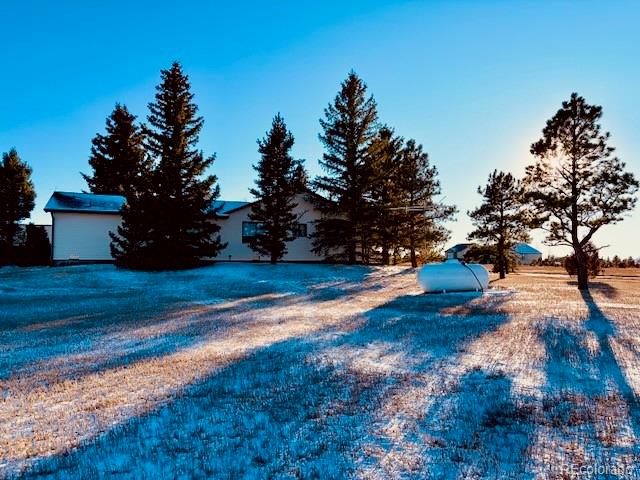 MLS Image #6 for 24988  ben kelly road,elbert, Colorado