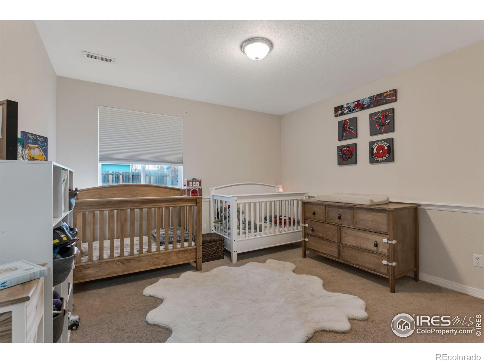 MLS Image #19 for 626  sumac street,frederick, Colorado