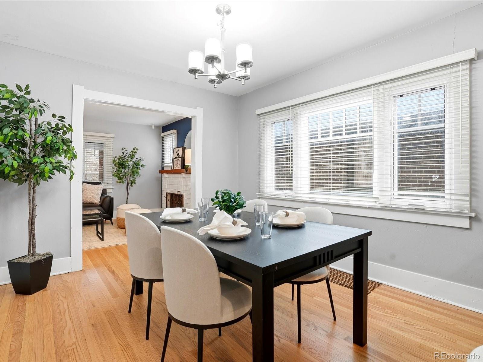 MLS Image #12 for 321 n grant street,denver, Colorado