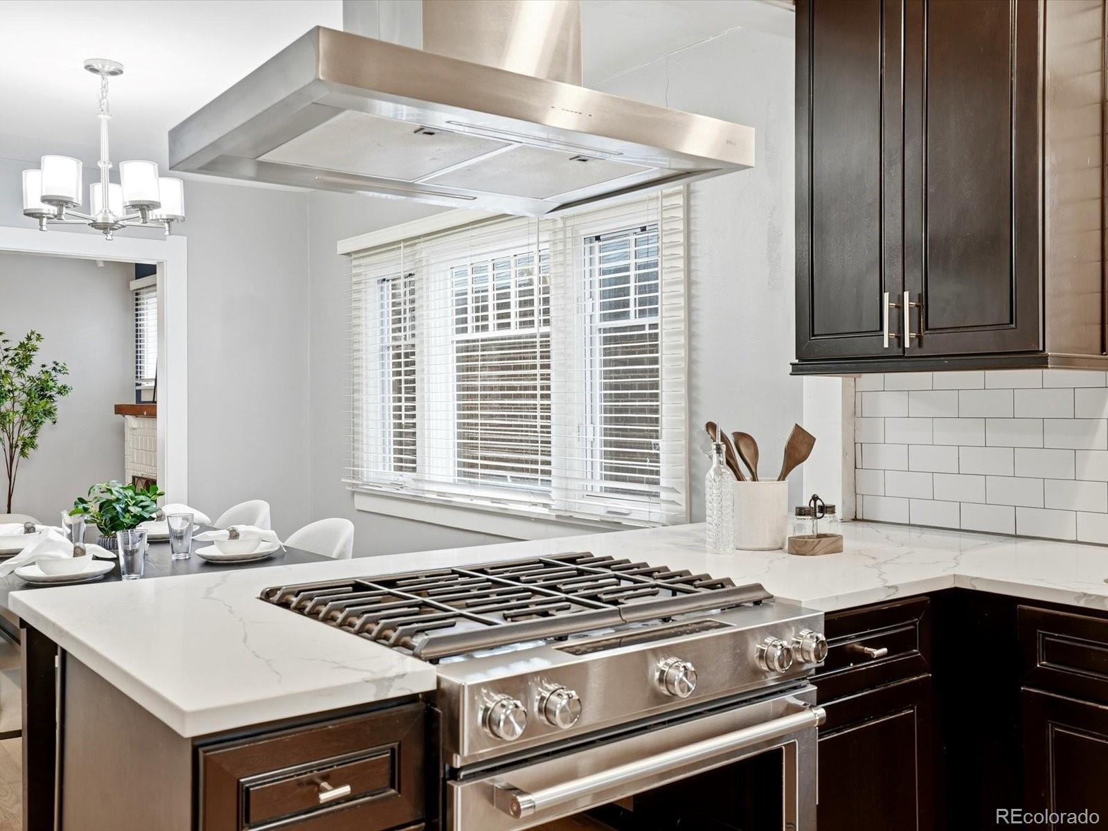 MLS Image #17 for 321 n grant street,denver, Colorado