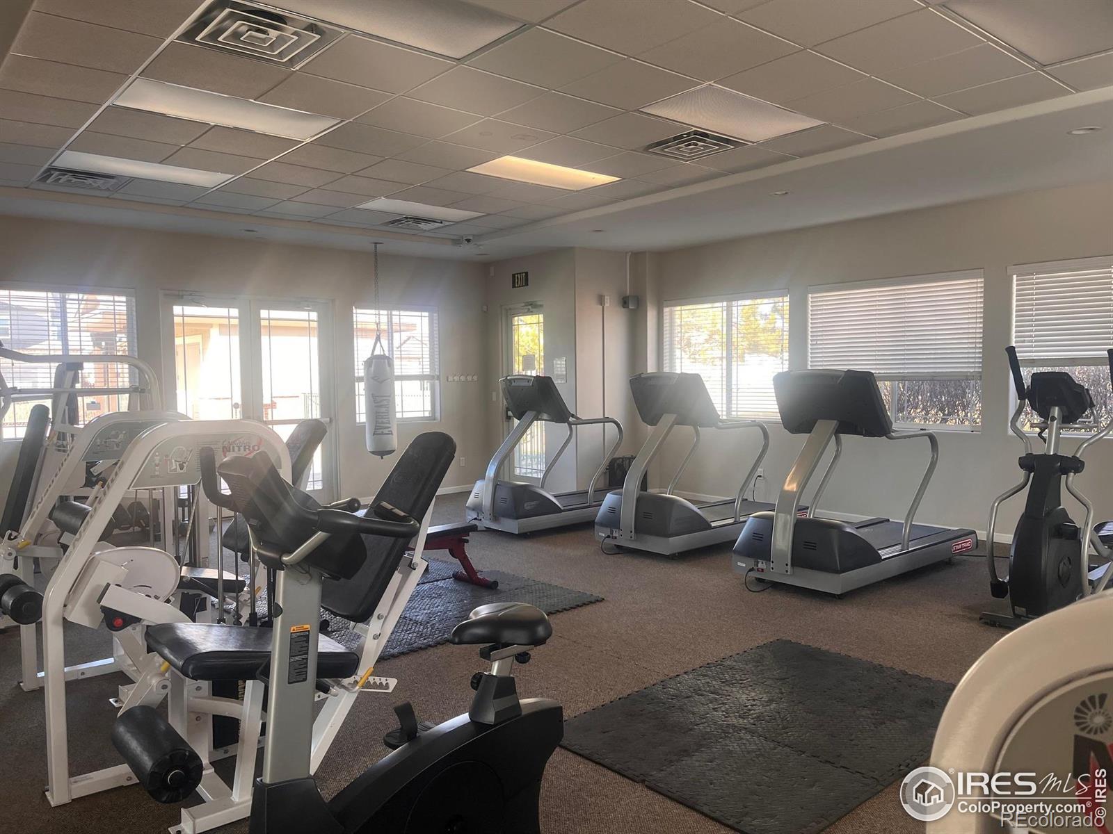 MLS Image #30 for 255  alden drive,loveland, Colorado