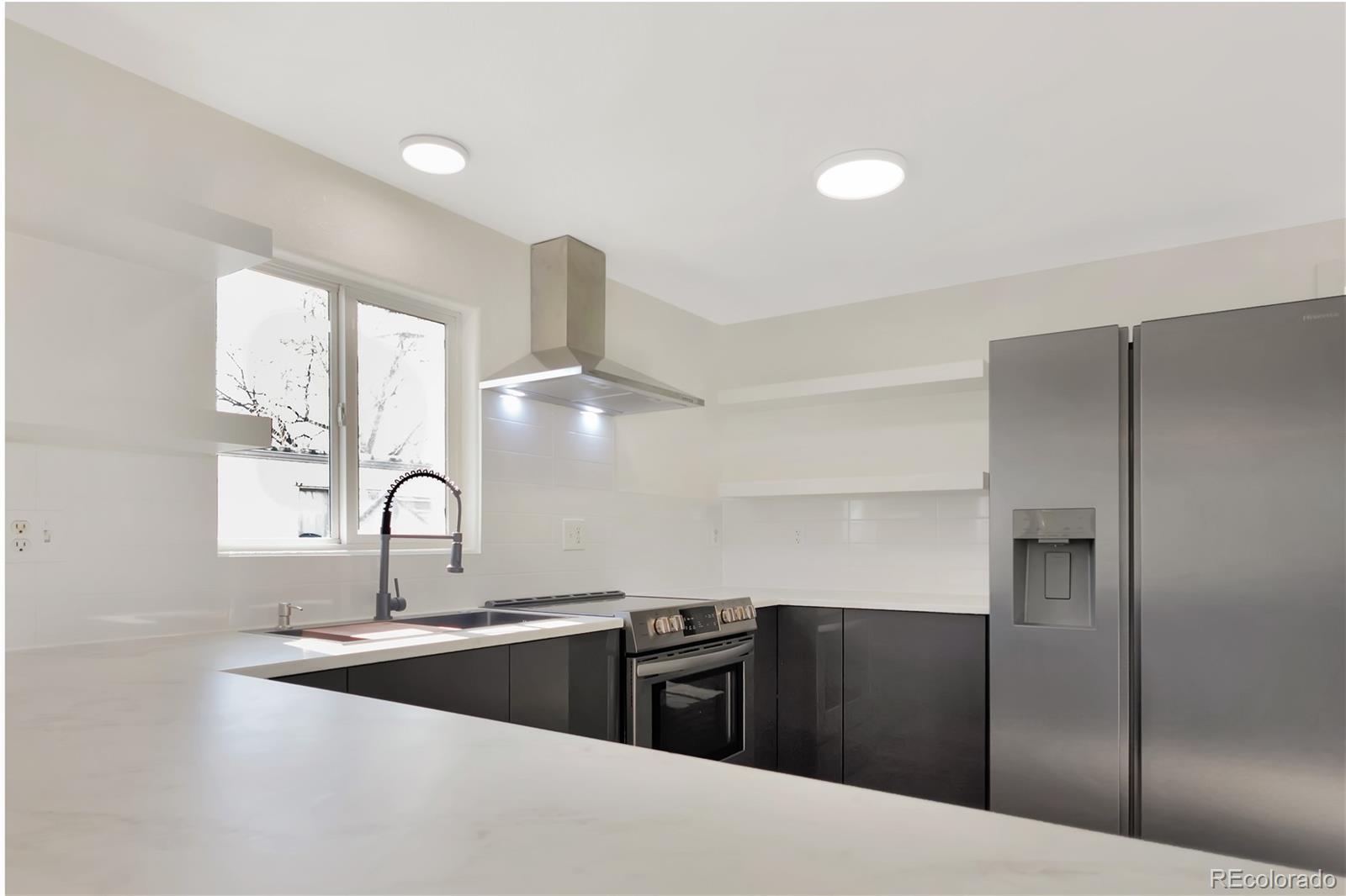 MLS Image #2 for 8533  cook court,denver, Colorado
