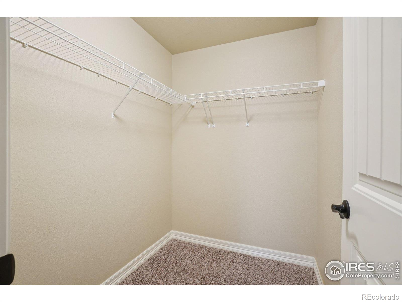 MLS Image #33 for 541  mount rainier street,berthoud, Colorado