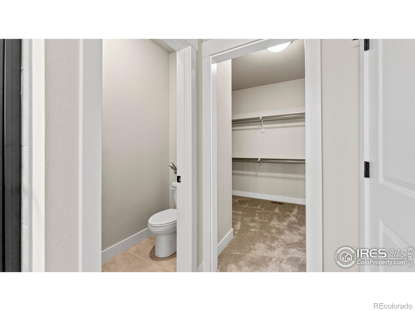 MLS Image #10 for 6233  vernazza way,windsor, Colorado