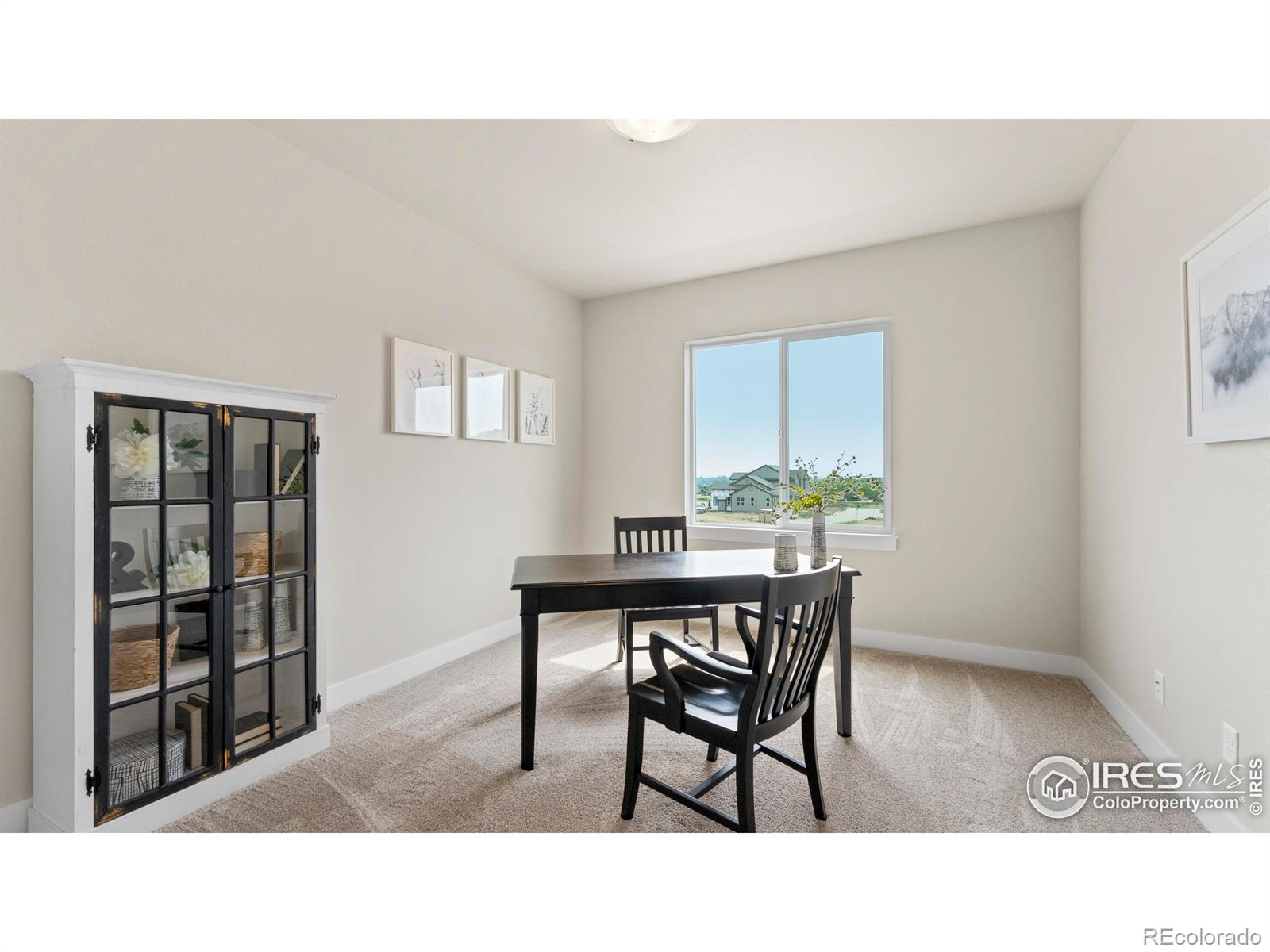 MLS Image #12 for 6233  vernazza way,windsor, Colorado