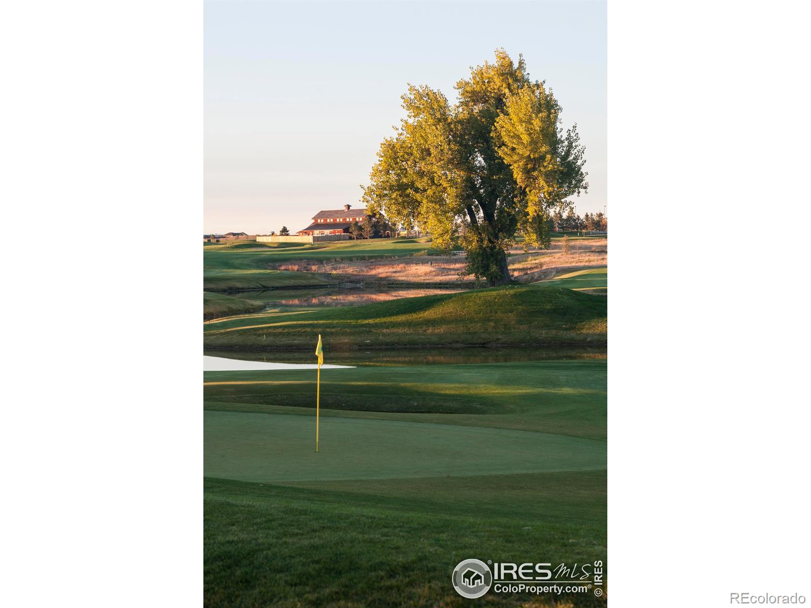 MLS Image #28 for 6233  vernazza way,windsor, Colorado