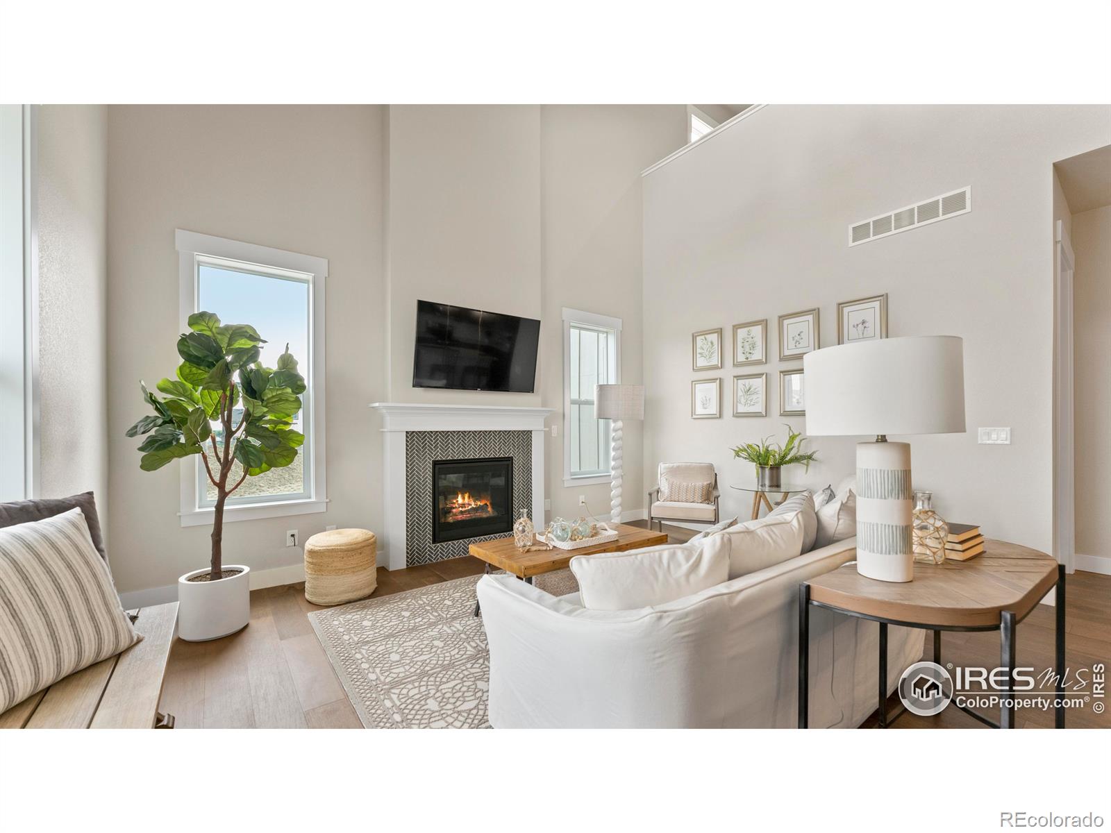 MLS Image #9 for 6233  vernazza way,windsor, Colorado