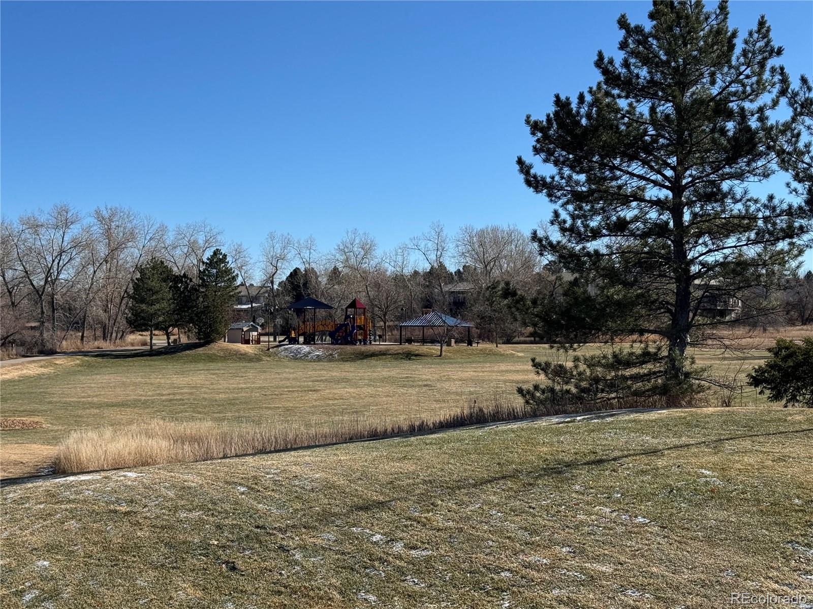 MLS Image #35 for 10505  hyacinth place,highlands ranch, Colorado