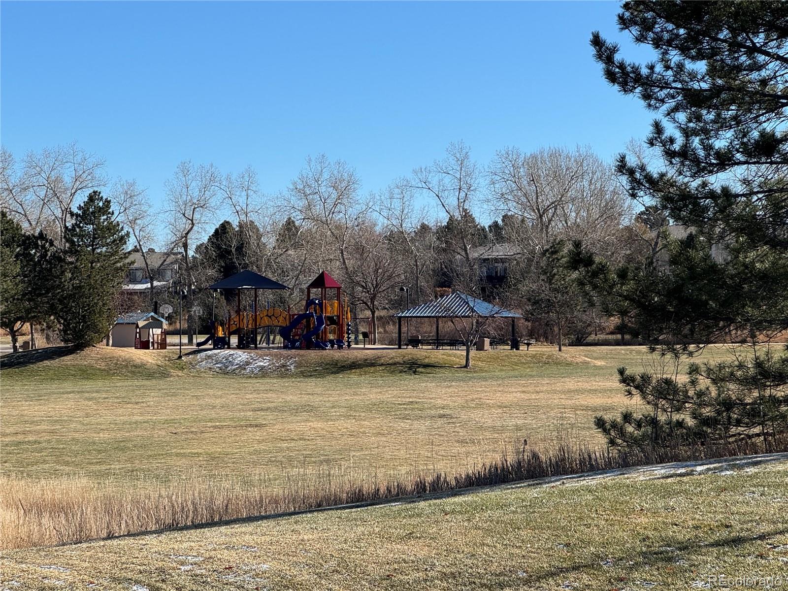 MLS Image #36 for 10505  hyacinth place,highlands ranch, Colorado