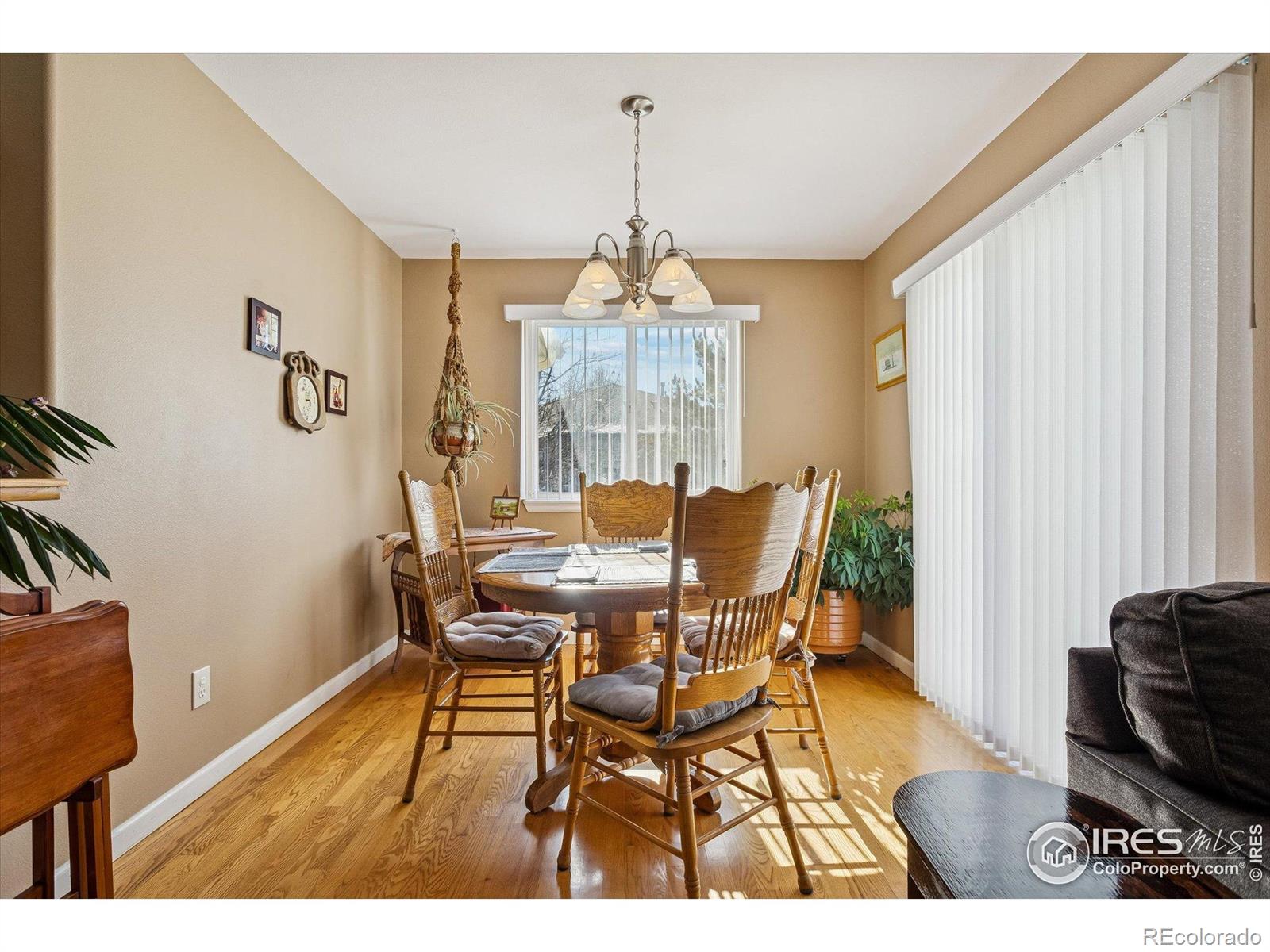 MLS Image #10 for 729  brookside drive,longmont, Colorado