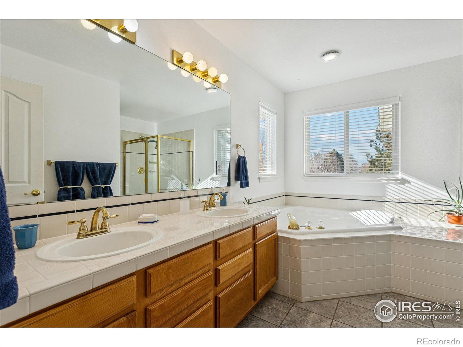 MLS Image #15 for 729  brookside drive,longmont, Colorado