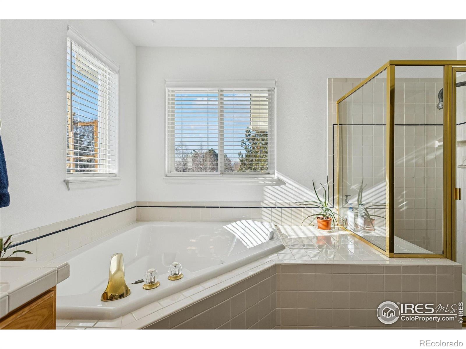 MLS Image #16 for 729  brookside drive,longmont, Colorado