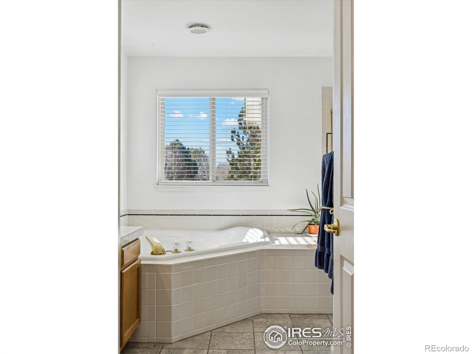 MLS Image #17 for 729  brookside drive,longmont, Colorado