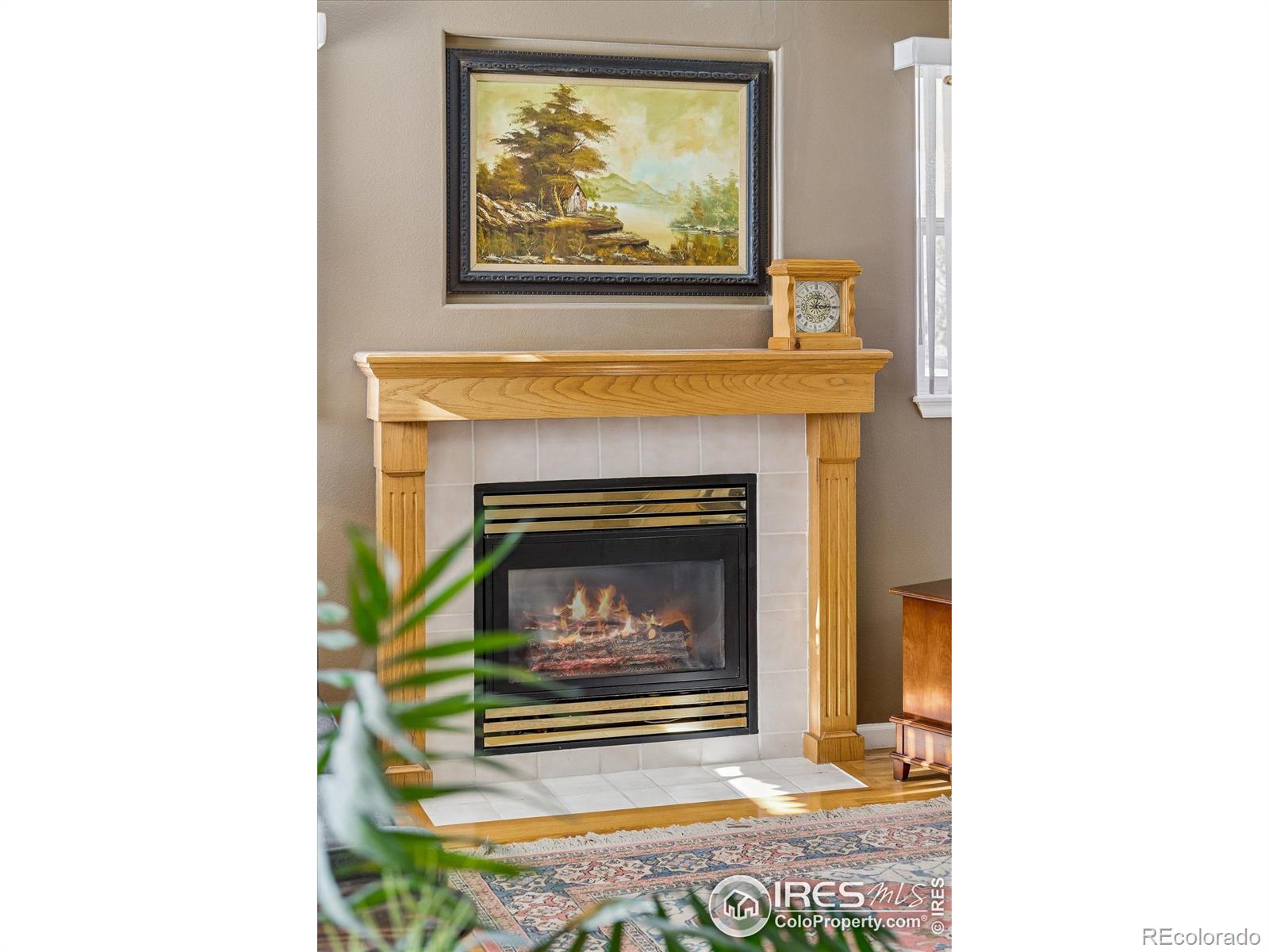 MLS Image #9 for 729  brookside drive,longmont, Colorado