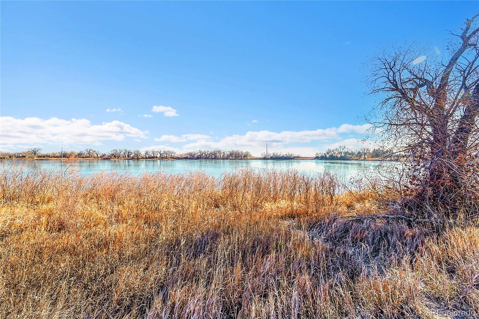 MLS Image #33 for 2972  purgatory creek drive,loveland, Colorado