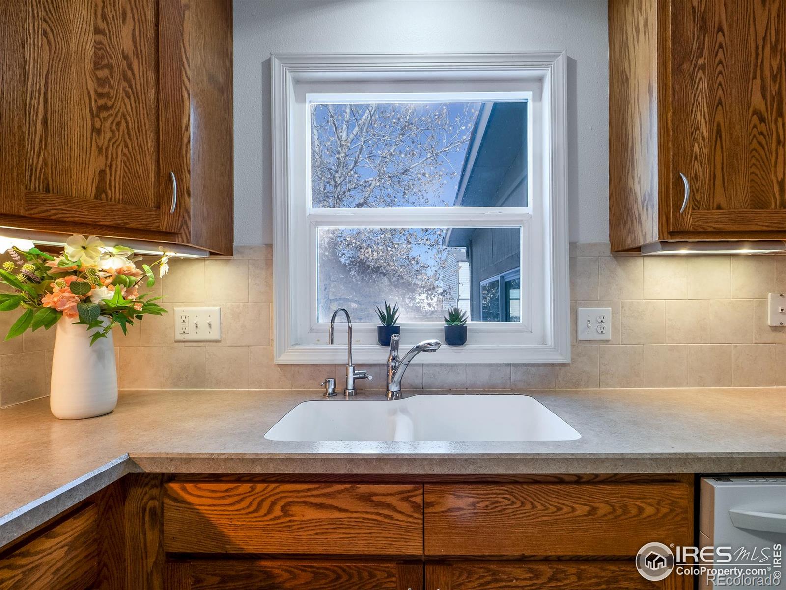 MLS Image #13 for 14  daisy court,windsor, Colorado