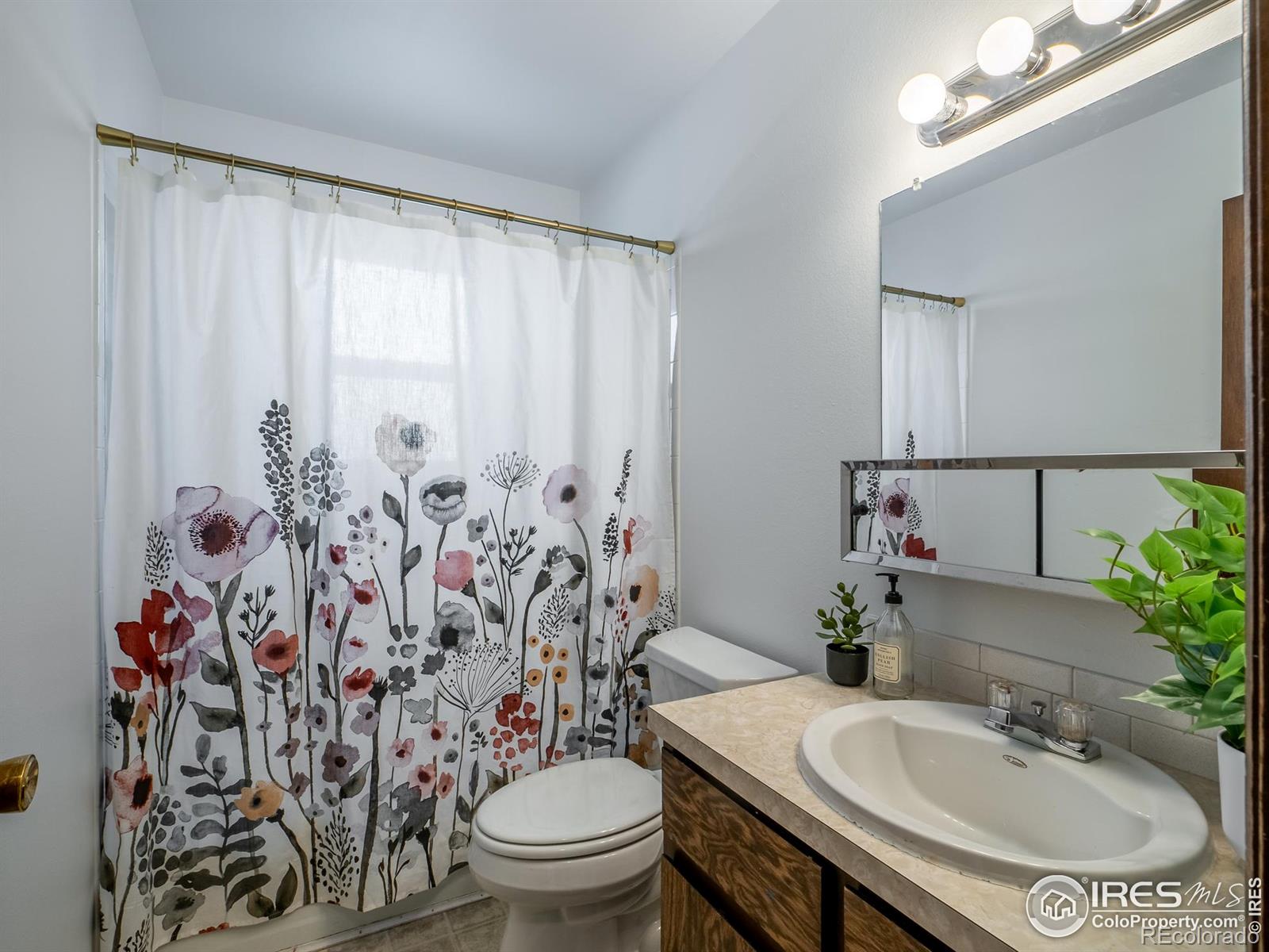 MLS Image #22 for 14  daisy court,windsor, Colorado
