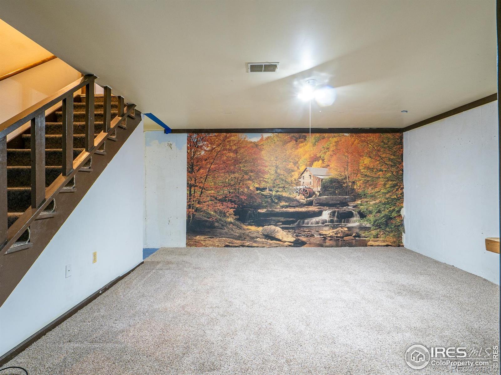 MLS Image #24 for 14  daisy court,windsor, Colorado