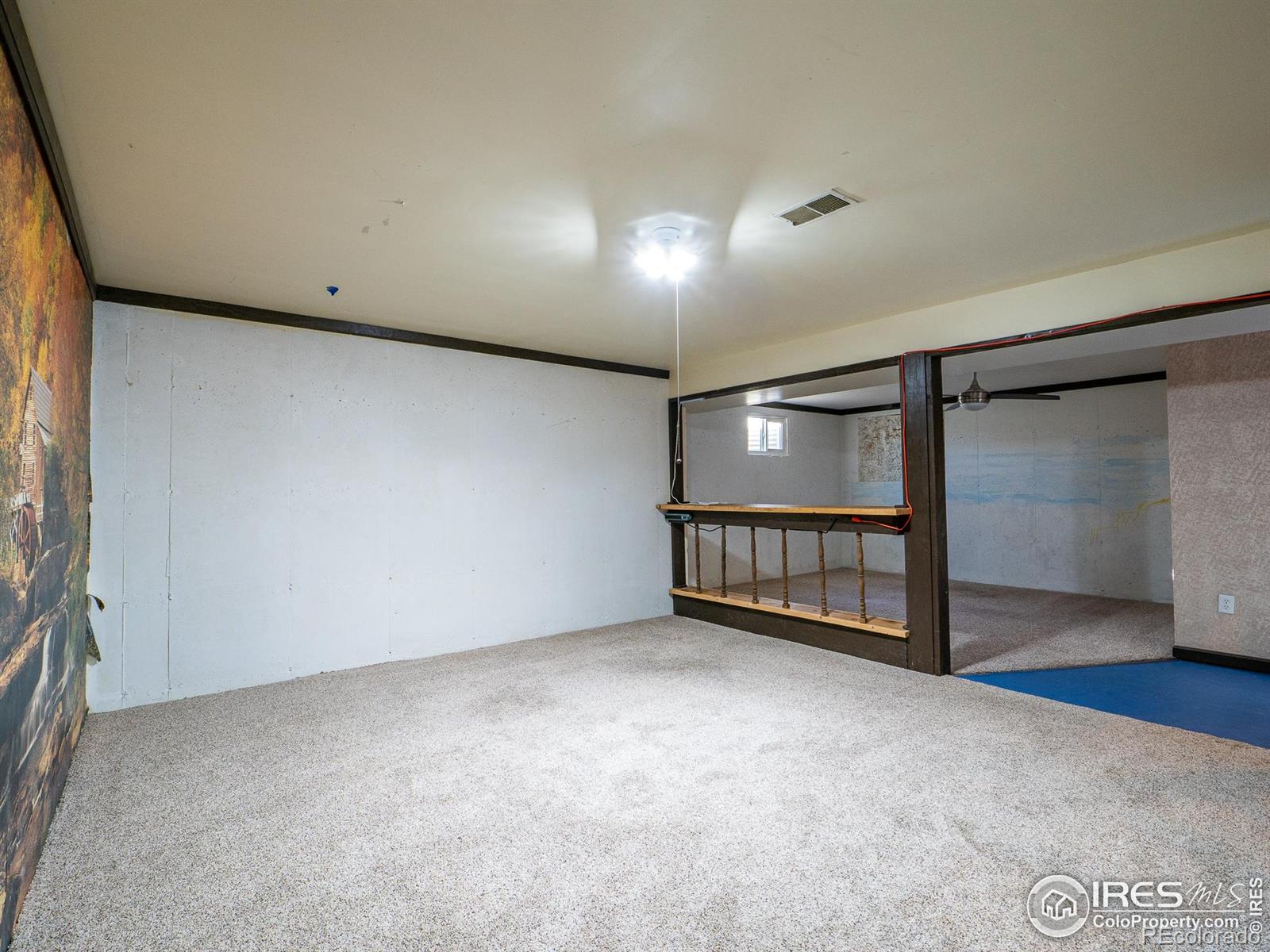 MLS Image #26 for 14  daisy court,windsor, Colorado