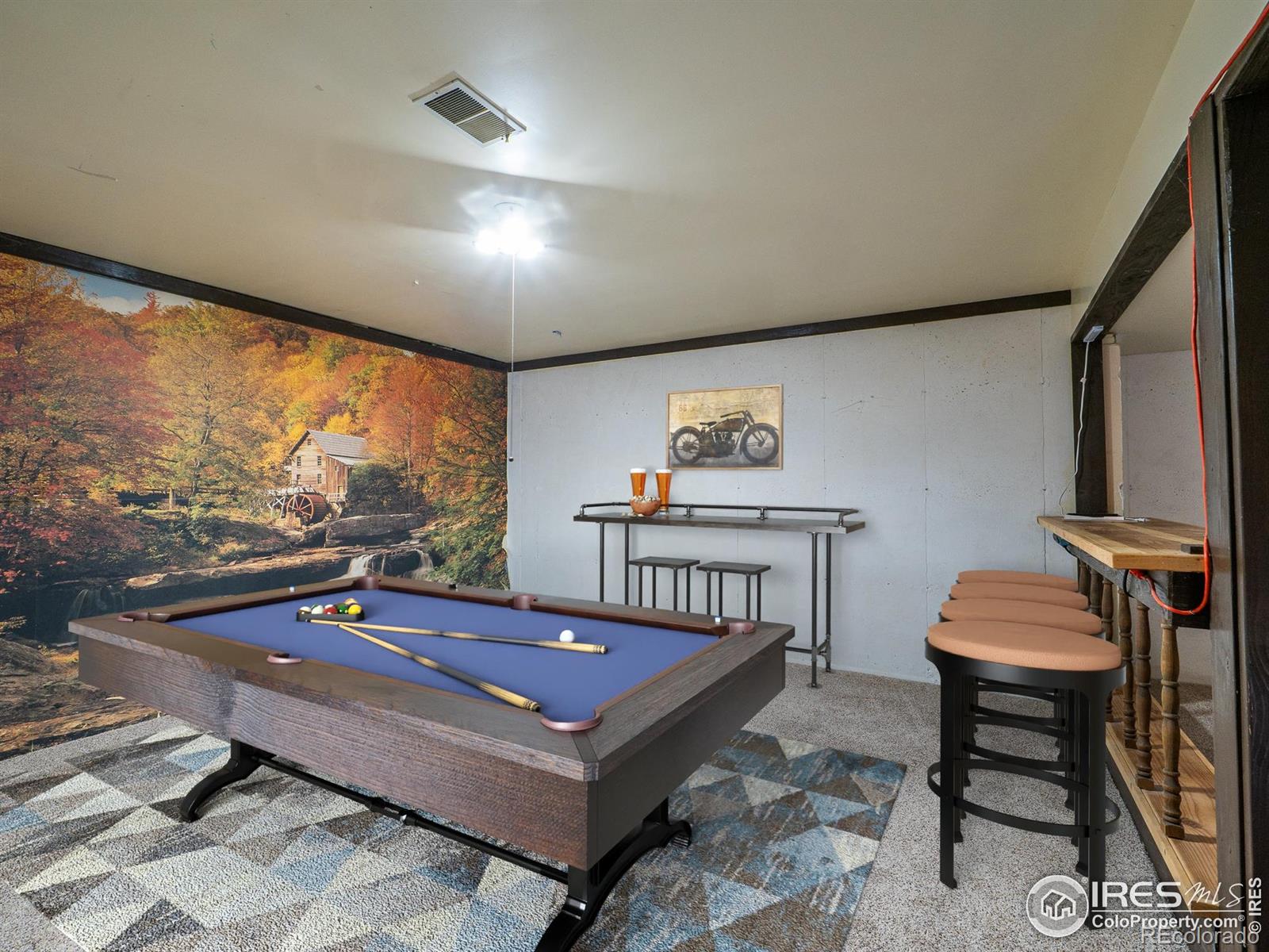MLS Image #29 for 14  daisy court,windsor, Colorado