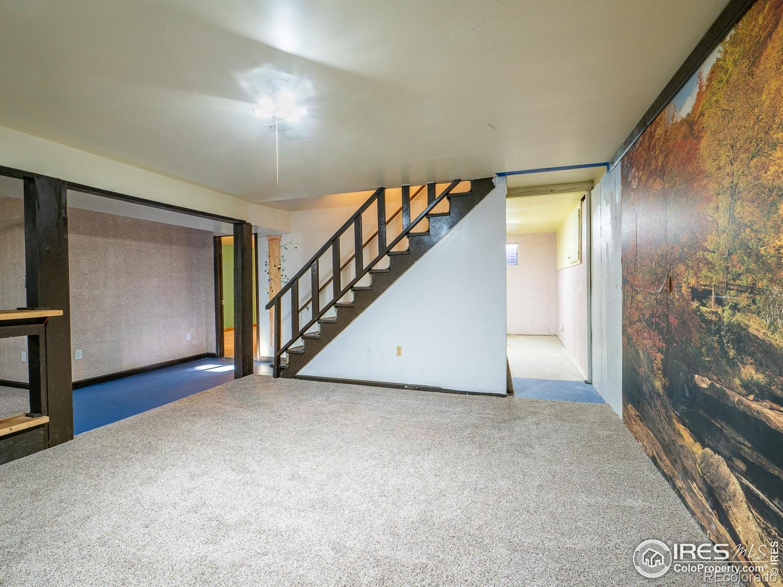 MLS Image #30 for 14  daisy court,windsor, Colorado