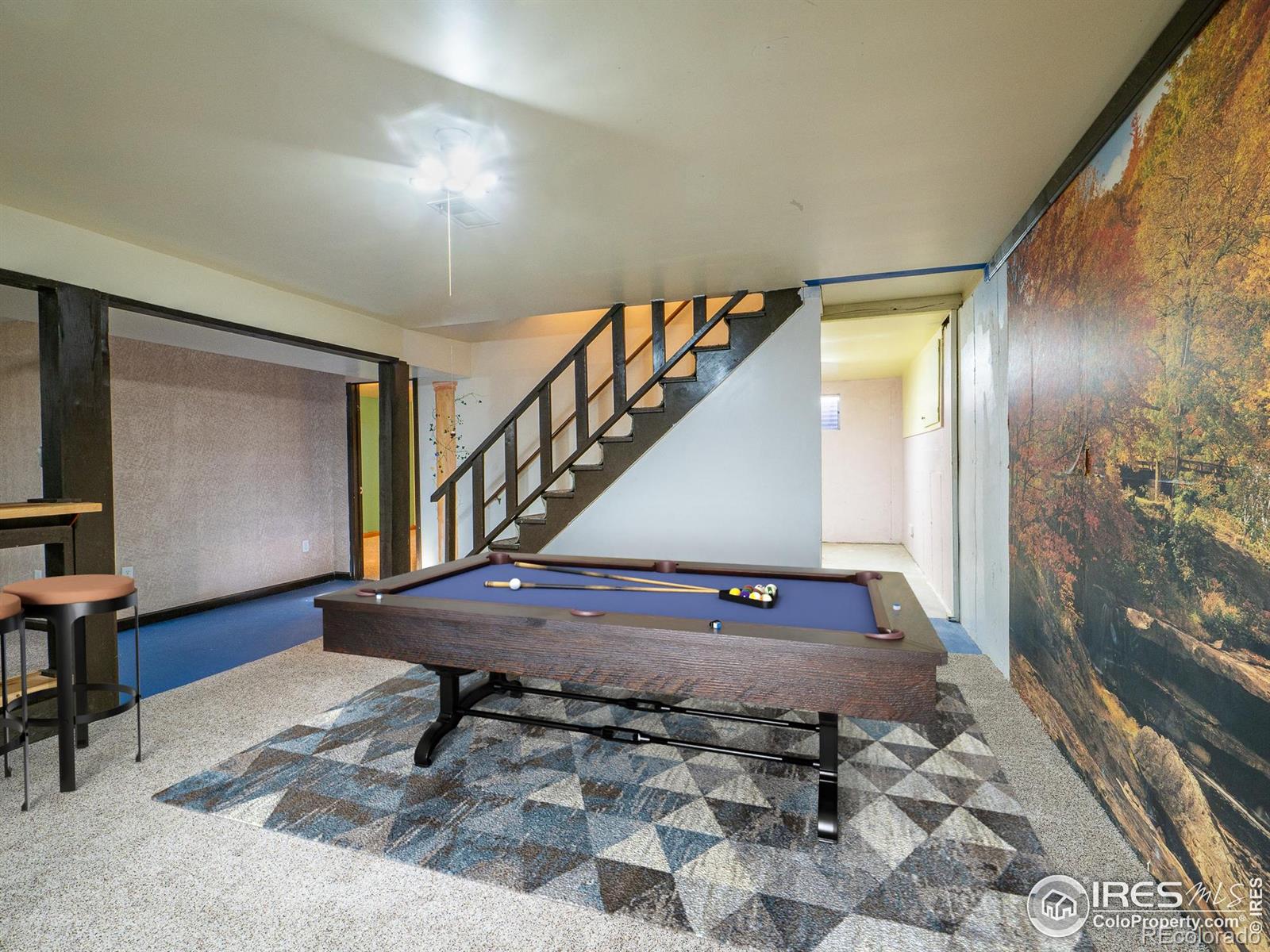 MLS Image #31 for 14  daisy court,windsor, Colorado