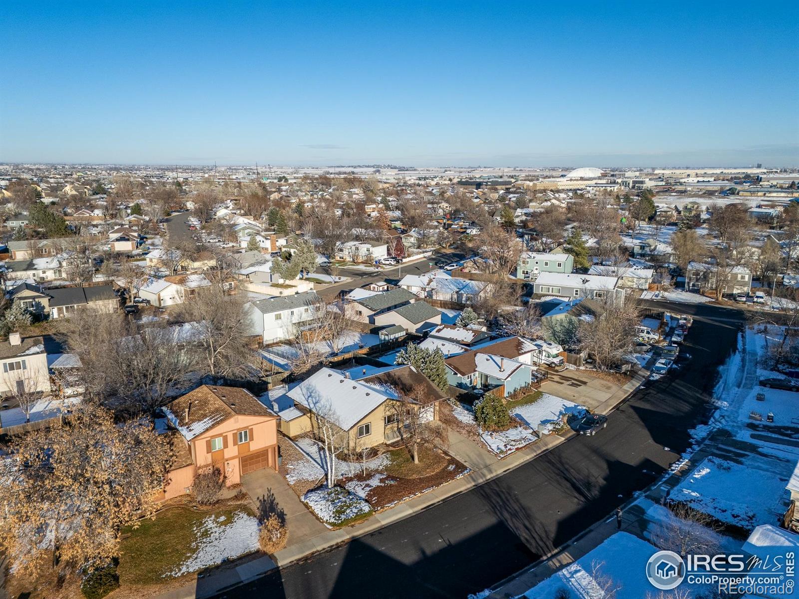 MLS Image #42 for 14  daisy court,windsor, Colorado