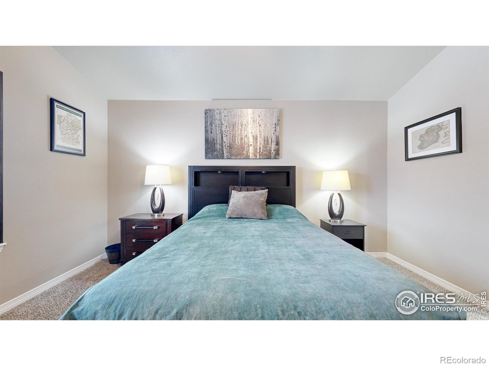 MLS Image #13 for 5498  segundo drive,loveland, Colorado
