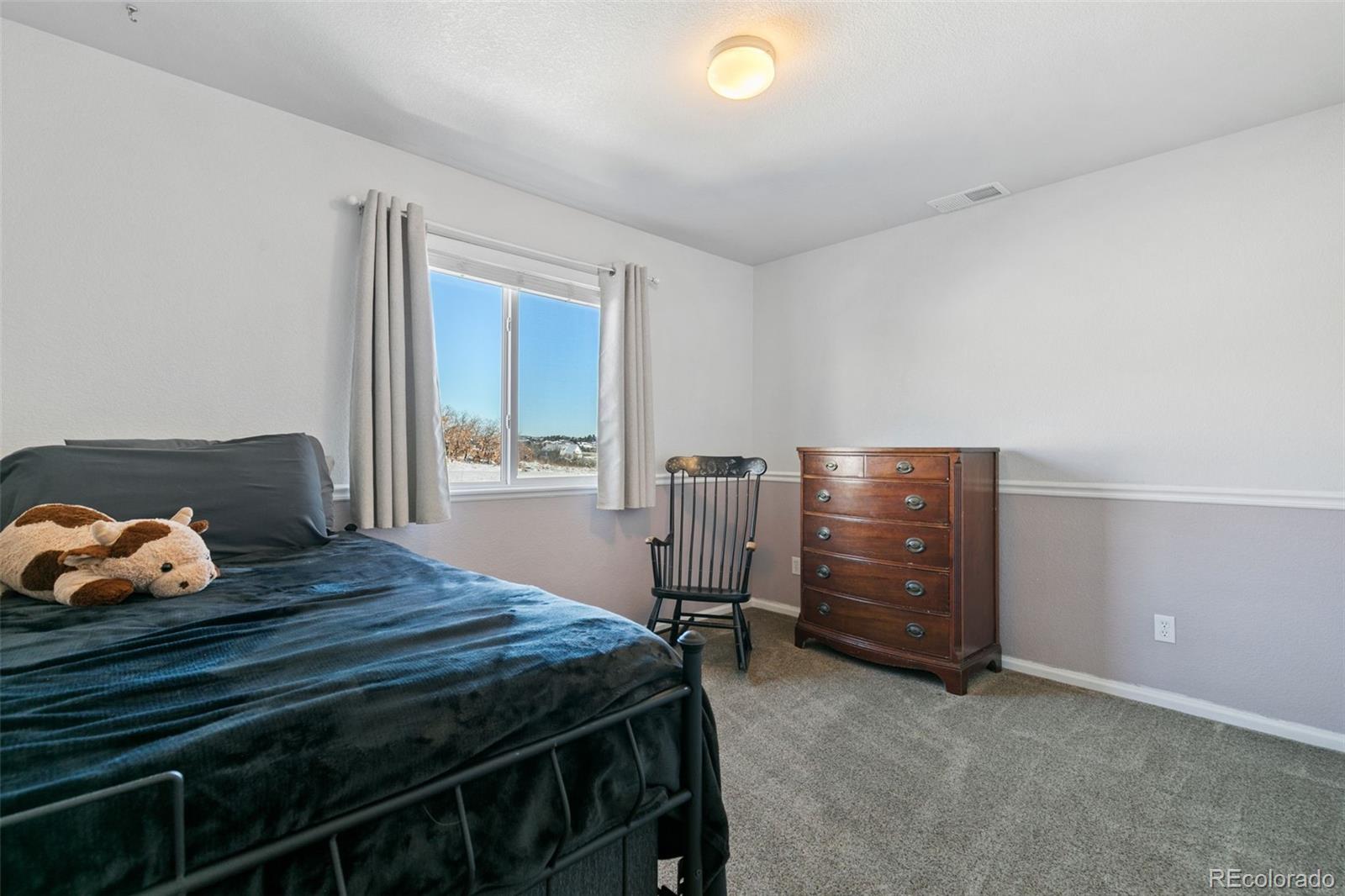 MLS Image #28 for 13475  canyons edge drive,colorado springs, Colorado