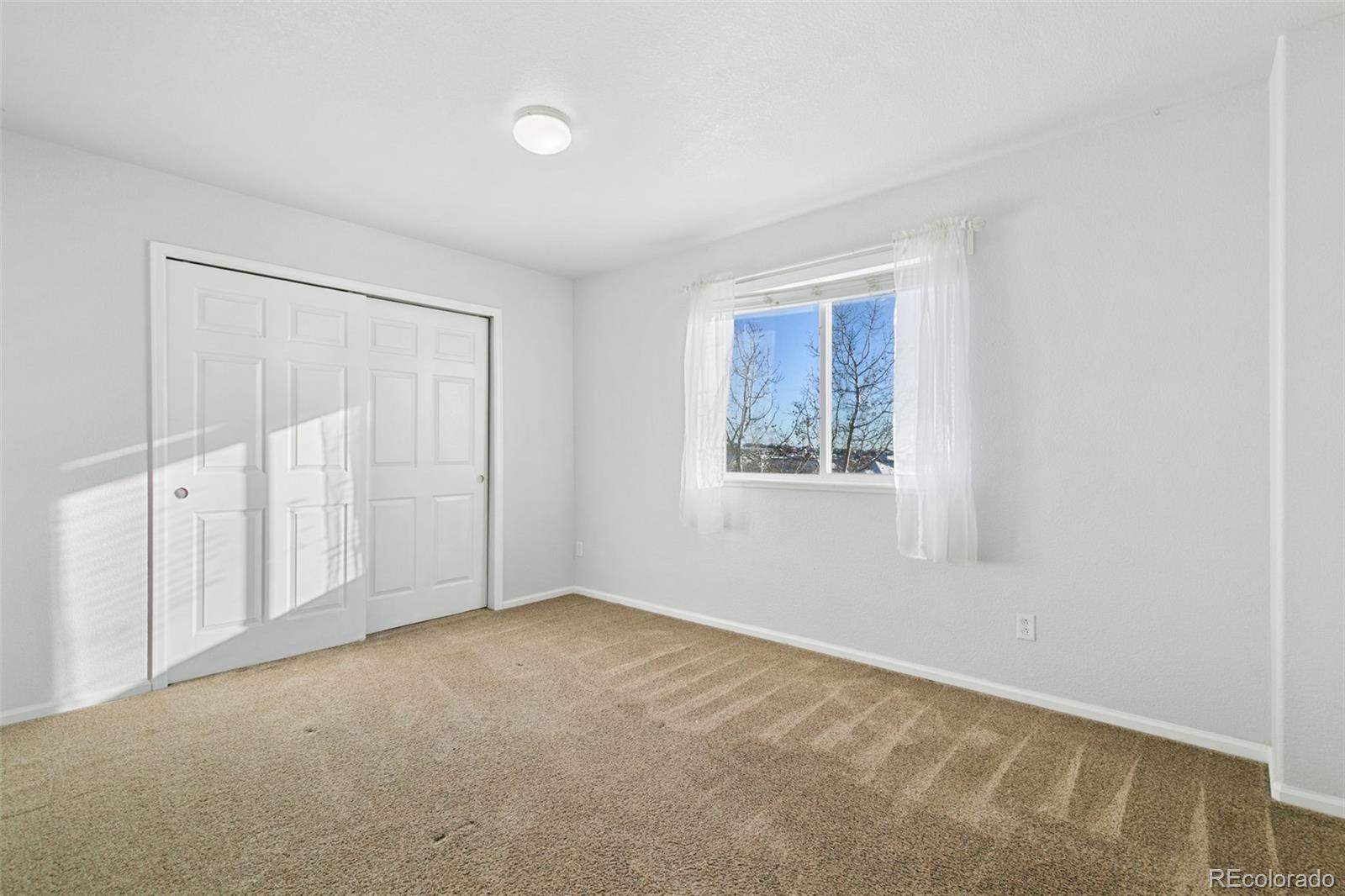 MLS Image #31 for 13475  canyons edge drive,colorado springs, Colorado
